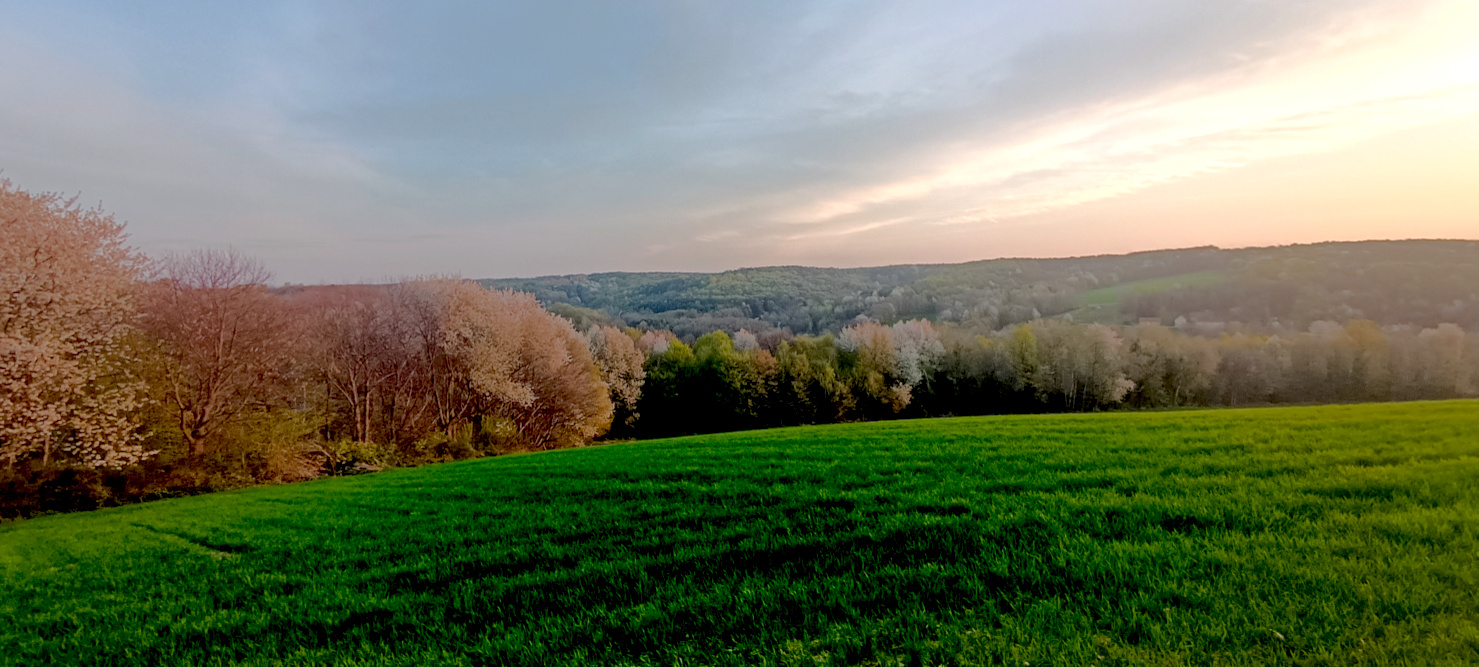 Goričko