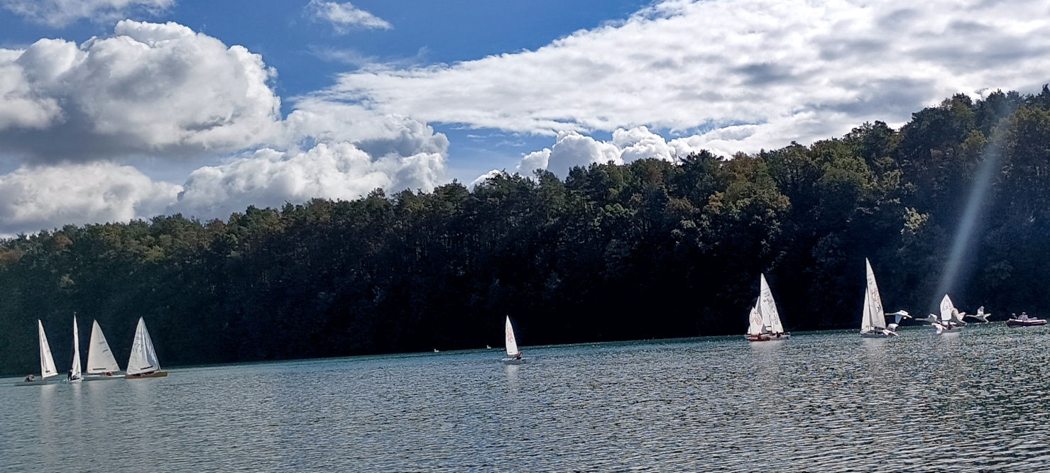 Labodi nad Dravo