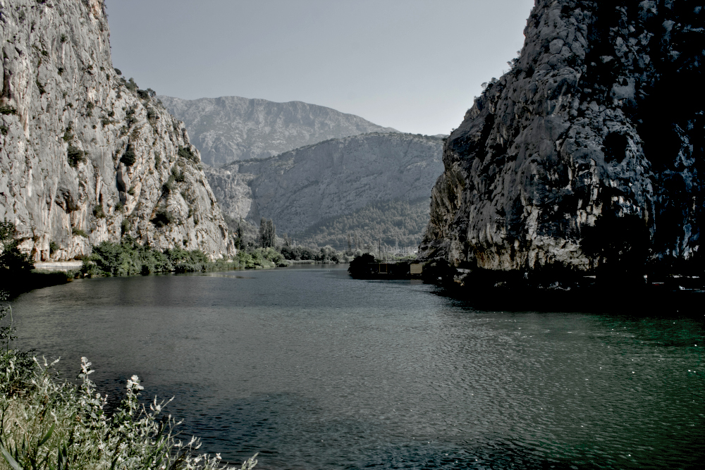 Cetina
