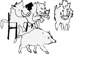 Kamarila
