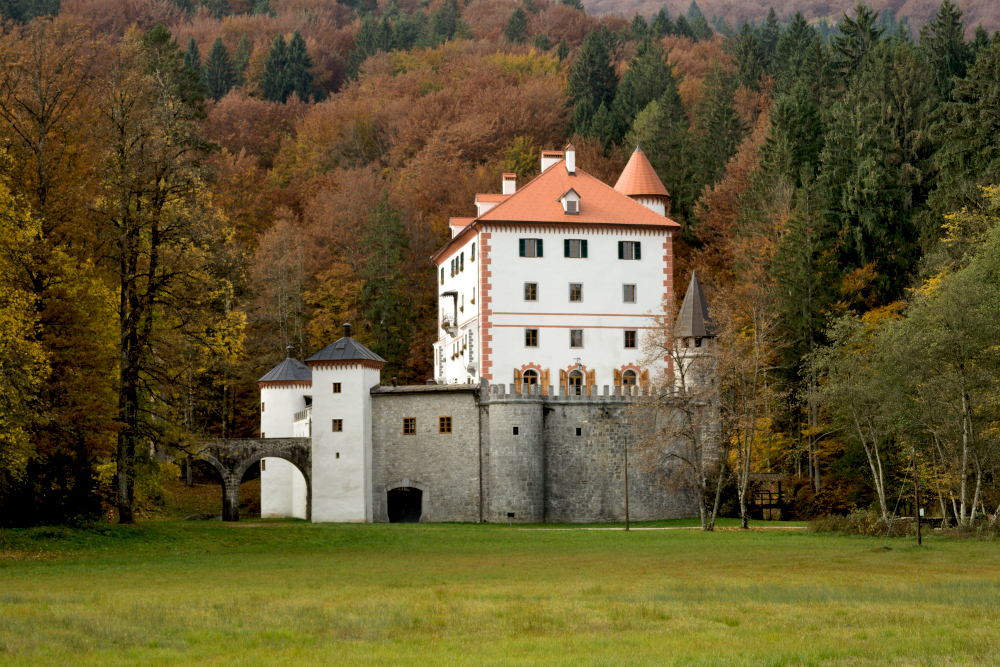 Grad Snežnik
